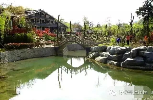 這個(gè)周末，隴南康縣花橋有大事要發(fā)生？