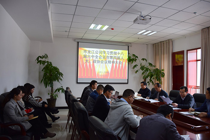 市龍江公司召開全體員工大會，專題傳達(dá)學(xué)習(xí)上級會議精神