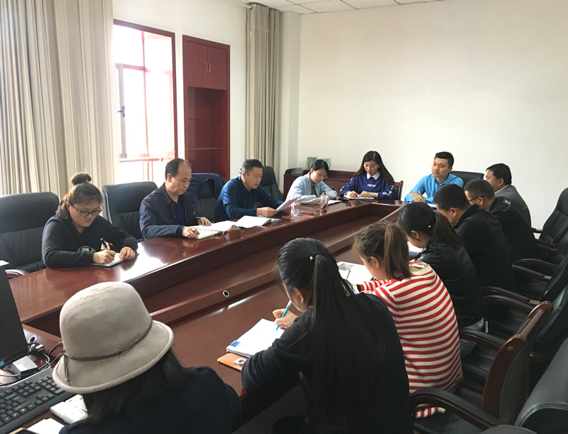 市龍江城鄉(xiāng)發(fā)展集團專題學習近期中央、省、市紀律檢查委員會議精神