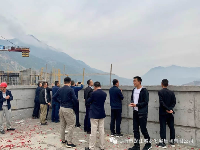 匠心傾注、喜封金頂——龍江?雙子座商住小區(qū)主體順利封頂