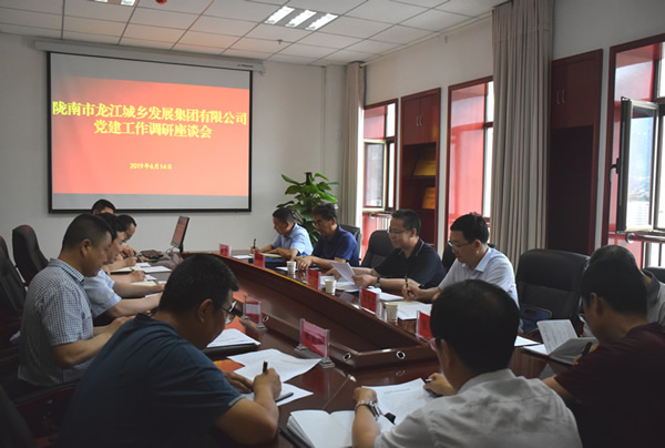隴南市委常委、組織部部長(zhǎng)楊郃調(diào)研指導(dǎo)市龍江城鄉(xiāng)發(fā)展集團(tuán)公司黨建工作