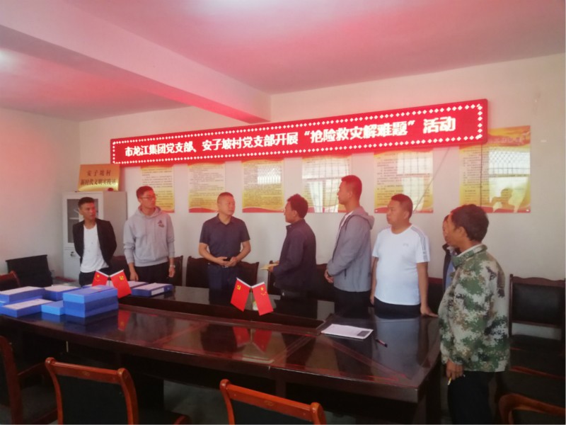 市龍江集團(tuán)“搶險(xiǎn)救災(zāi)解難題” 主題黨日活動